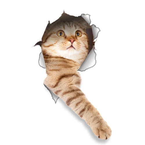Cute Cats Wall Sticker Hole View Vivid Dogs Bathroom 3D Stickers For Home Decoration Animals Decals Self-adhesive Poster