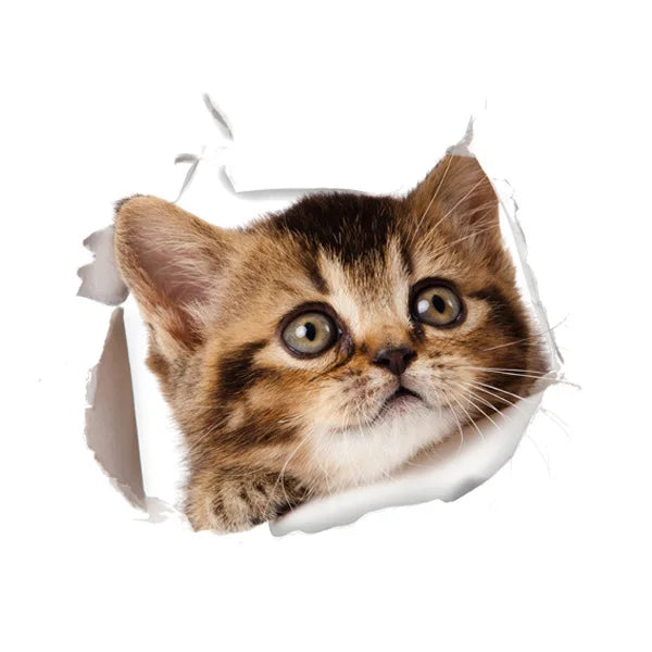 Cute Cats Wall Sticker Hole View Vivid Dogs Bathroom 3D Stickers For Home Decoration Animals Decals Self-adhesive Poster