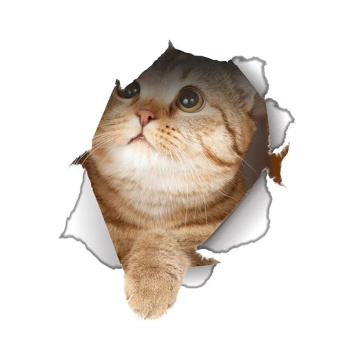 Cute Cats Wall Sticker Hole View Vivid Dogs Bathroom 3D Stickers For Home Decoration Animals Decals Self-adhesive Poster