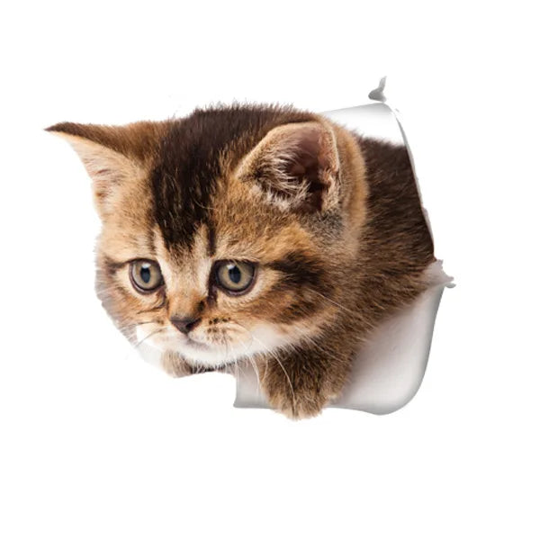 Cute Cats Wall Sticker Hole View Vivid Dogs Bathroom 3D Stickers For Home Decoration Animals Decals Self-adhesive Poster
