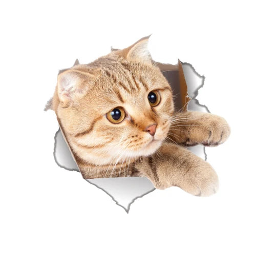 Cute Cats Wall Sticker Hole View Vivid Dogs Bathroom 3D Stickers For Home Decoration Animals Decals Self-adhesive Poster