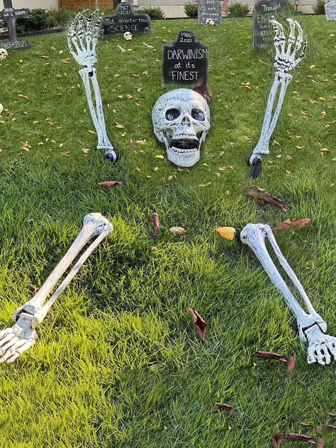 Halloween Skeleton Stake Decorations, Realistic Skull Halloween Props, Spooky Yard Decoration with Arm, Garden Halloween Decor